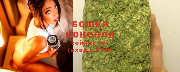 дмт Богородицк