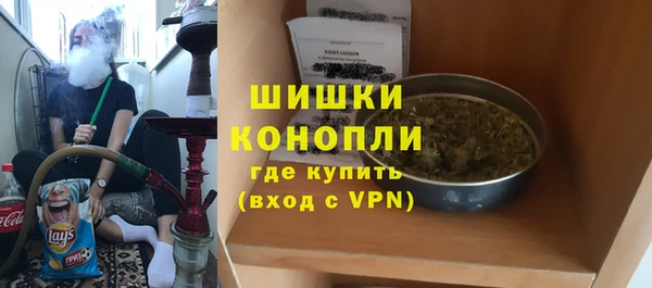 стафф Бородино