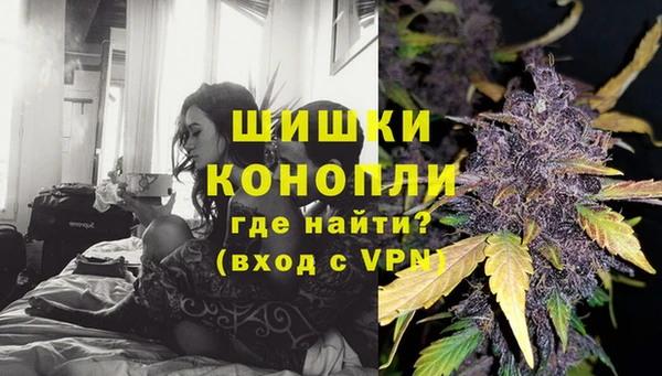 МДПВ Богданович