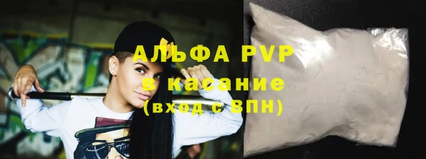 стафф Бородино