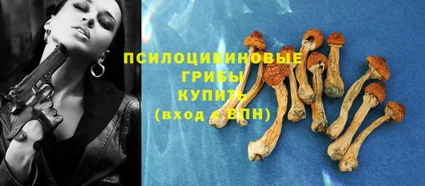 дмт Богородицк