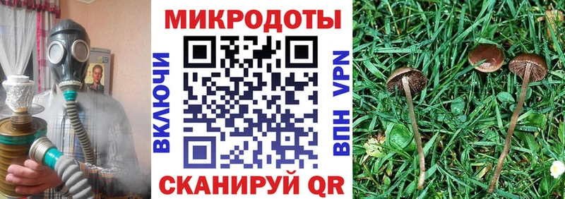 Псилоцибиновые грибы прущие грибы  OMG сайт  Семилуки 